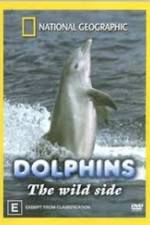 Watch Dolphins: The Wild Side Tvmuse
