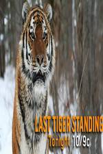 Watch Discovery Channel-Last Tiger Standing Tvmuse