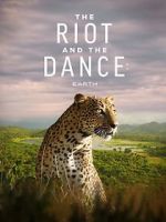 Watch The Riot and the Dance Tvmuse