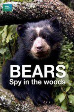 Watch Bears: Spy in the Woods Tvmuse