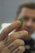 Watch Professor Green: Is It Time to Legalise Weed? Tvmuse