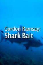 Watch Gordon Ramsay: Shark Bait Tvmuse