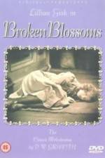 Watch Broken Blossoms or The Yellow Man and the Girl Tvmuse