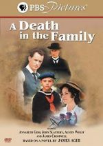 Watch A Death in the Family Tvmuse