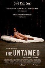 Watch The Untamed Tvmuse
