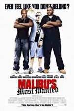 Watch Malibu's Most Wanted Tvmuse
