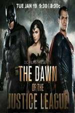 Watch Dawn of the Justice League Tvmuse