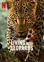 Watch Living with Leopards Tvmuse