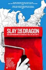 Watch Slay the Dragon Tvmuse