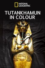 Watch King Tut in Color Tvmuse