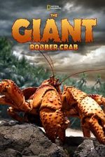 Watch The Giant Robber Crab Tvmuse