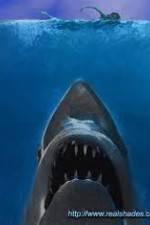 Watch Jaws: The True Story Tvmuse