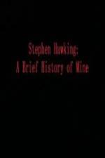 Watch Stephen Hawking A Brief History of Mine Tvmuse