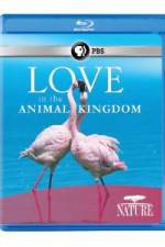 Watch Nature: Love in the Animal Kingdom Tvmuse