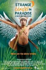 Watch Strange Birds in Paradise A West Papuan Story Tvmuse