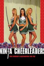 Watch Ninja Cheerleaders Tvmuse