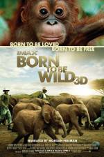 Watch Born to Be Wild Tvmuse