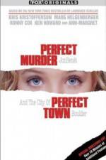 Watch Perfect Murder Perfect Town JonBenet and the City of Boulder Tvmuse