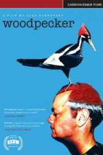 Watch Woodpecker Tvmuse