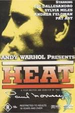 Watch Andy Warhol's Heat Tvmuse