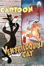 Watch Ventriloquist Cat Tvmuse