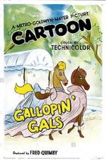 Watch Gallopin\' Gals Tvmuse