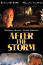 Watch After the Storm Tvmuse