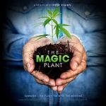 Watch The Magic Plant Tvmuse