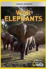 Watch War Elephants Tvmuse