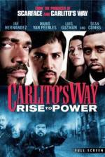 Watch Carlito's Way: Rise to Power Tvmuse