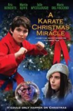 Watch A Karate Christmas Miracle Tvmuse