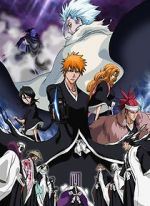 Watch Bleach the Movie 2: The Diamond Dust Rebellion Tvmuse