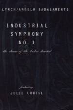 Watch Industrial Symphony No 1 The Dream of the Brokenhearted Tvmuse