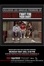Watch Beastie Boys: Fight for Your Right Revisited Tvmuse