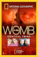 Watch National Geographic: In the Womb - Identical Twins Tvmuse