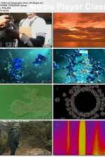 Watch National Geographic - How Life Began (2010) Tvmuse