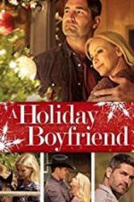 Watch A Holiday Boyfriend Tvmuse