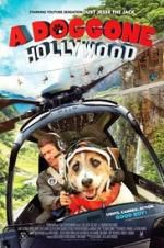 Watch A Doggone Hollywood Tvmuse