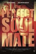 Watch The Perfect Soulmate Tvmuse