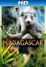Watch Madagascar 3D Tvmuse