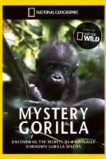 Watch National Geographic Mystery Gorilla Tvmuse