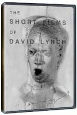 Watch The Short Films of David Lynch Tvmuse