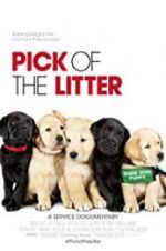Watch Pick of the Litter Tvmuse