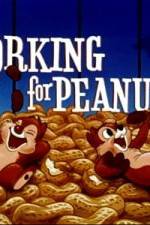 Watch Working For Peanuts Tvmuse