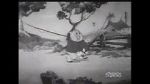 Watch Fish Tales (Short 1936) Tvmuse
