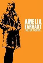 Watch Amelia Earhart: The Lost Evidence Tvmuse