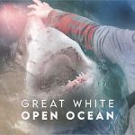 Watch Great White Open Ocean Tvmuse
