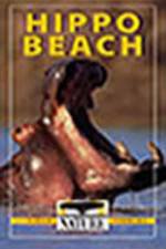 Watch PBS Nature - Hippo Beach Tvmuse