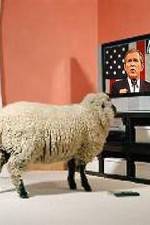 Watch Educating The Sheeple Tvmuse
