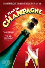 Watch A Year in Champagne Tvmuse